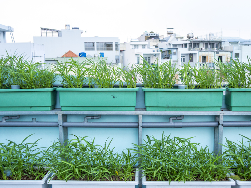 Aquaponics 2